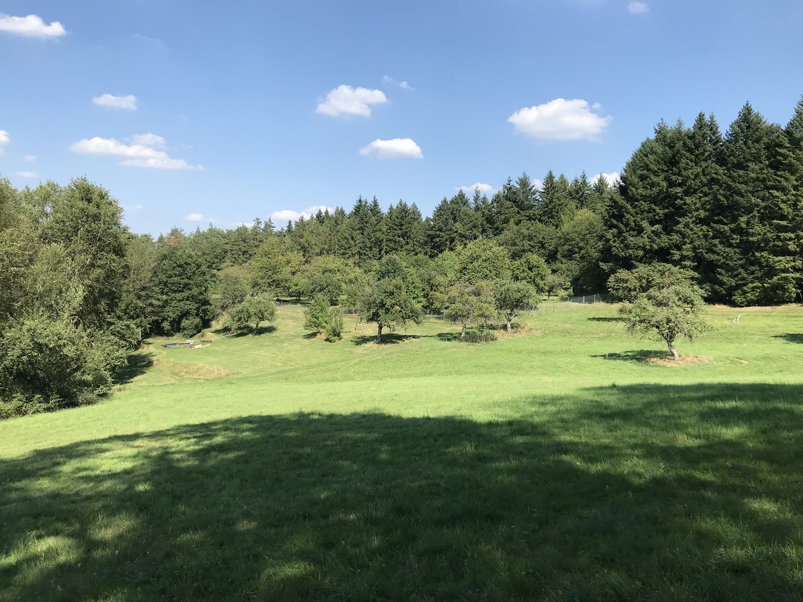 Geistlich mitarbeiten